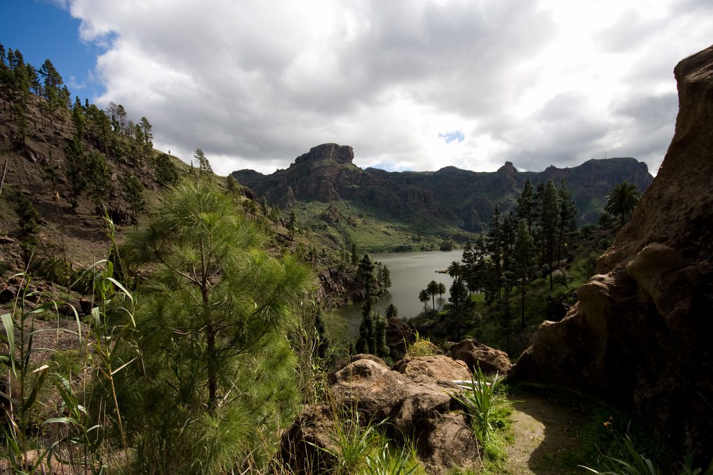 presas gran canaria pinos