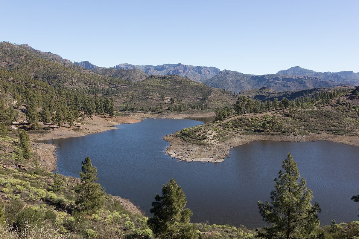 presa gran canaria pinos