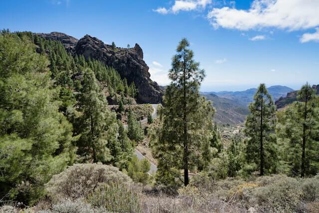 circulares senderismo gran canaria