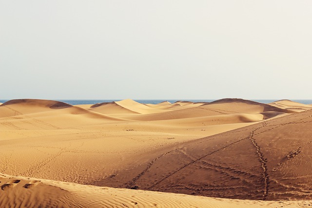 dunas maspalomas gran canaria