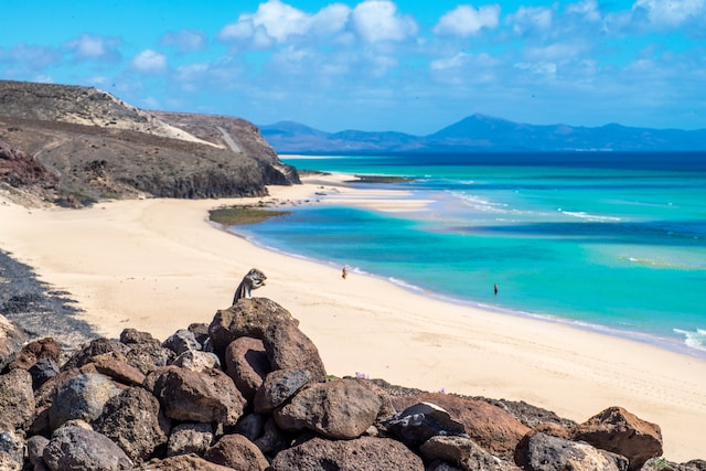 fuerteventura playas