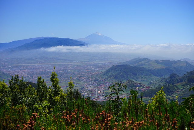 vistas teide